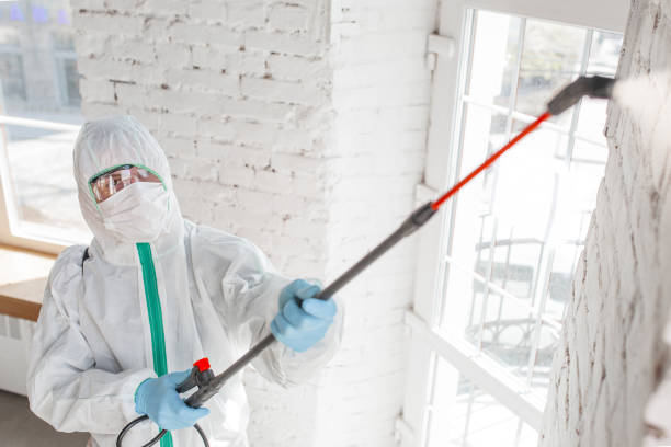 Best Indoor Air Quality Assessment  in Weston, NJ
