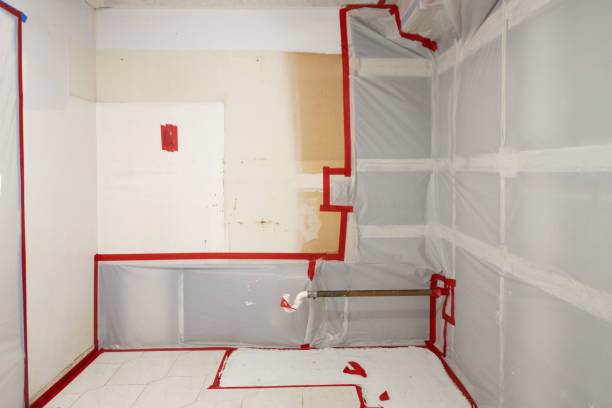 Mold Removal for HVAC Installations