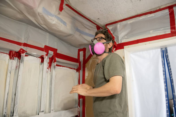  Weston, NJ Mold Removal Pros