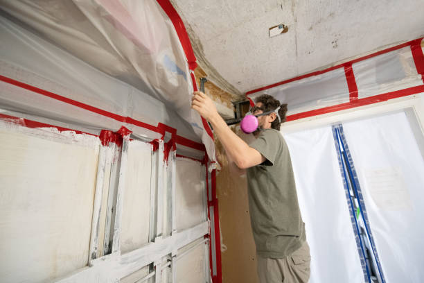 Best Biohazard Mold Removal  in Weston, NJ