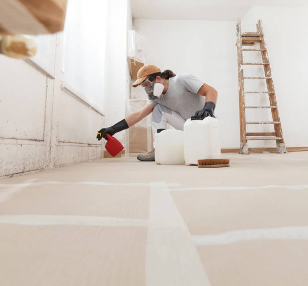 Best Water Damage & Mold Remediation  in Weston, NJ