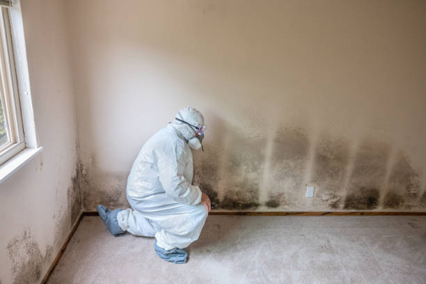 Best Commercial Mold Inspection  in Weston, NJ